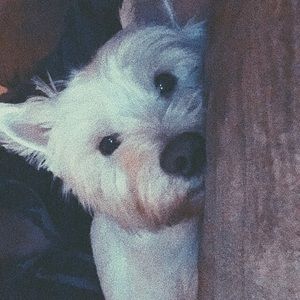 Meet your Posher, Gracyn